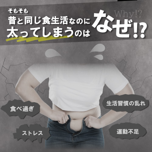 【ダイエットサポートサプリ】シボットル 45粒(15日分)×10個セット【機能性表示食品】肥満 体重 体脂肪 中性脂肪 内臓脂肪 ウエスト周囲径の減少をサポート BMI エラグ エラグ酸 アフリカマンゴノキ_3