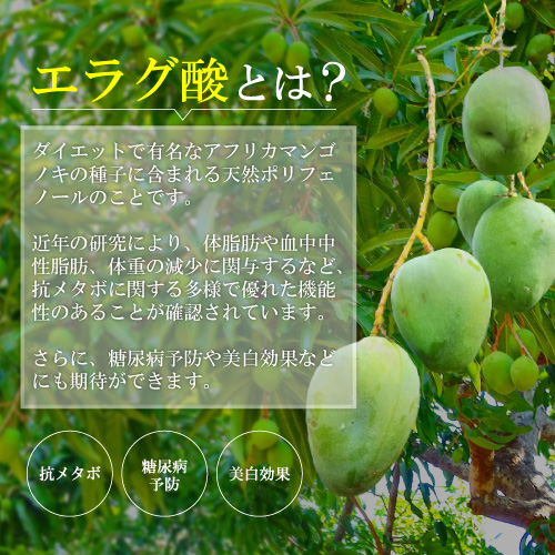 【ダイエットサポートサプリ】シボットル 45粒(15日分)×10個セット【機能性表示食品】肥満 体重 体脂肪 中性脂肪 内臓脂肪 ウエスト周囲径の減少をサポート BMI エラグ エラグ酸 アフリカマンゴノキ_7
