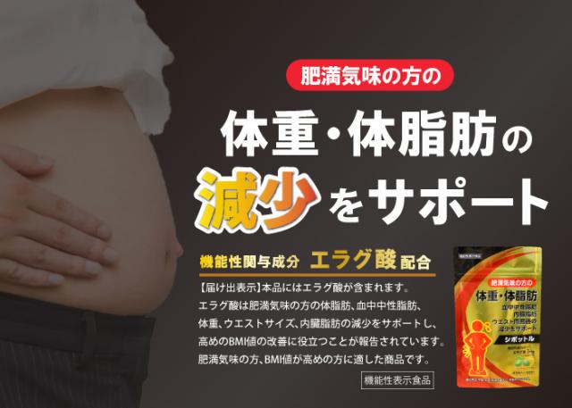 【ダイエットサポートサプリ】シボットル 45粒(15日分)×10個セット【機能性表示食品】肥満 体重 体脂肪 中性脂肪 内臓脂肪 ウエスト周囲径の減少をサポート BMI エラグ エラグ酸 アフリカマンゴノキ_1