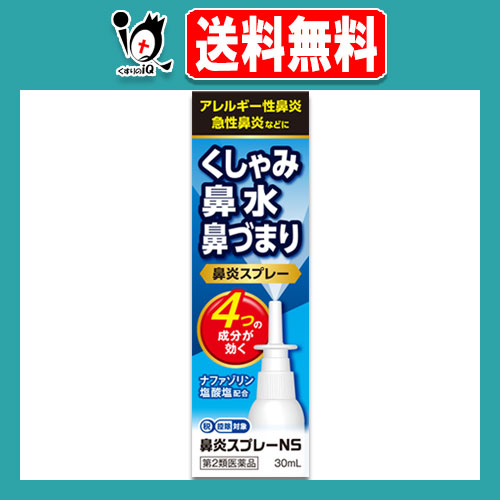 【第2類医薬品】★鼻炎スプレーNS 30mL【中央製薬】鼻炎用点鼻薬 ナザールスプレーと同じ成分配合 花粉症 くしゃみ 鼻みず 鼻づまり 急性の通販はau PAY マーケット くすりのiQ