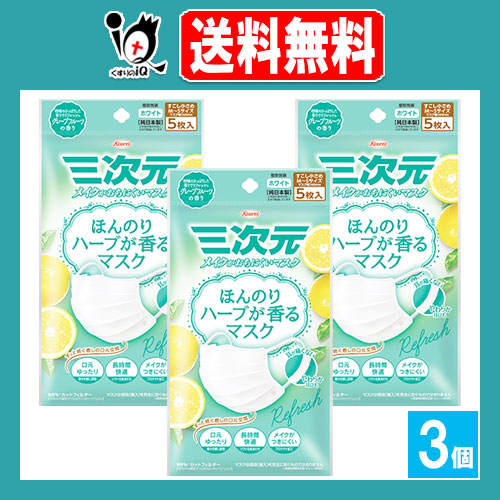 三次元 ほんのりハーブが香るマスク グレープフルーツ 5枚入×3個セット【Kowa 興和】少し小さめ MSサイズ メイクが落ちにくいマスク 口元ゆったり 耳が痛くない 不織布マスク 三次元マスク 個包装 純日本製 ホワイト