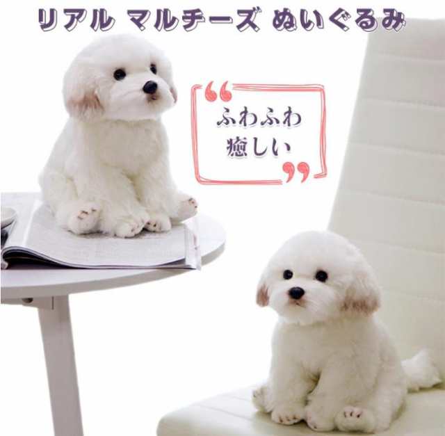 犬ぬいぐるみ マルチーズぬいぐるみ リアルイヌいぬ ペットおもちゃ 人形 子供 インテリア 誕生日プレゼント ギフト クリスマスの通販はau Pay マーケット 佐藤商店