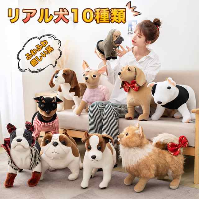 ぬいぐるみ 犬のぬいぐるみ 55cm いぬ雑貨 いぬ 犬 おもちゃ 癒し そっくり リアル 犬グッズ ファンシー 犬種 ドッグ やわらかい かわいの通販はau Pay マーケット 佐藤商店