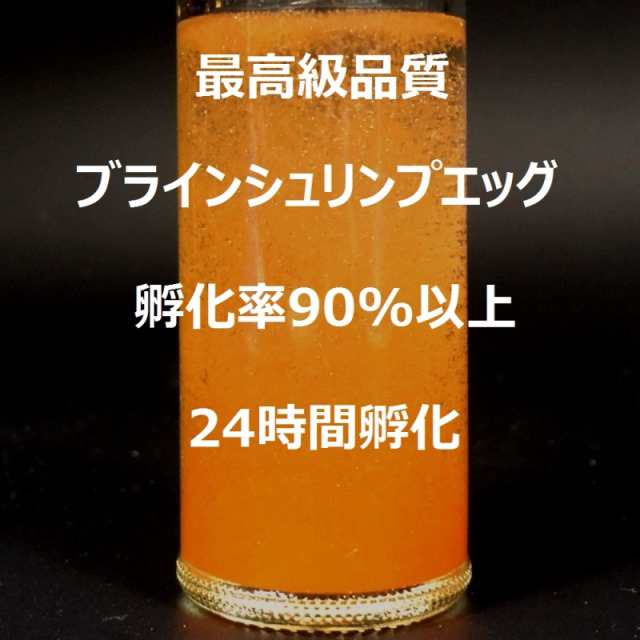 Bishoku 新中国産ブラインシュリンプエッグ孵化率90 以上 100gの通販はau Pay マーケット Wts Global