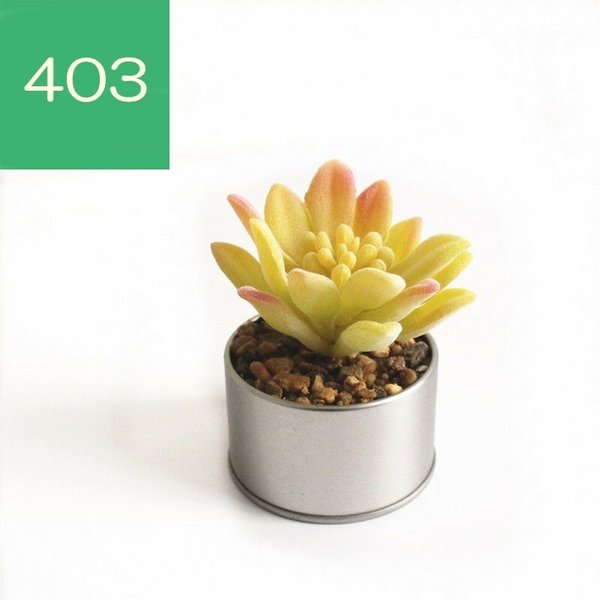 フェイクグリーン 多肉植物 インテリア アロエ 鉢付き 室内ガーデニング 玄関 ミニプランツ 造花 サボテン ポット入り 室内装の通販はau Pay マーケット Makey