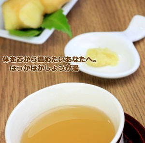 生姜湯300g メール便 しょうが湯 生姜湯 ポイント消化 冷え性対策 人気 茶 ティ 砂糖入 ジンジャー パウダー 粉 ティー ショウガオール の通販はau Pay マーケット ケーフーズなまため