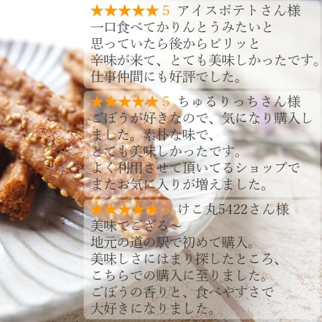 ギフト きんぴらごぼう菓子 10袋セット 通販 菓子 スイーツ サプライズ ギフト お土産 ごぼうのおかし 面白 ギフト 珍味 業務用 お取り寄せ 食べ物 手土産 スイーツ 差し入れ 常温 お中元
