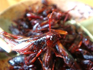 いなご甘露煮 100ｇ 3個セット 佃煮 通販 イナゴ 年越し なまため イナゴの佃煮 祝 ギフト 5298 業務用 常温 の通販はau Pay マーケット こんにゃく屋生田目屋