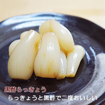 国産 黒酢らっきょう1ｇ 1袋 メール便 漬け物 通販 ラッキョウ 祝 ギフト 漬物 ご飯のお供 らっきょ らっきょう漬け つけもの らっの通販はau Pay マーケット こんにゃく屋生田目屋