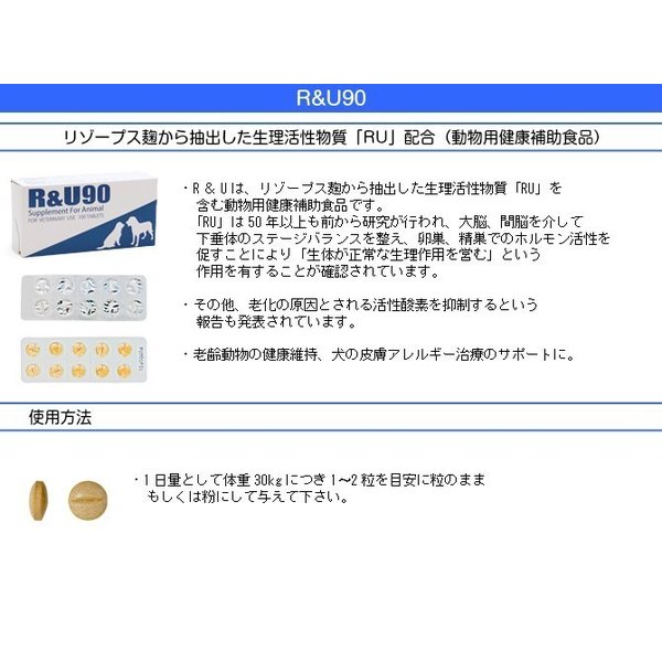 R&amp;U 90 100粒 共立製薬 犬猫用 牛越生理学研究所 送料無料_2