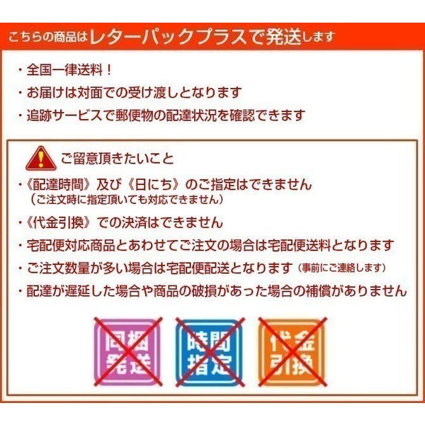 R&amp;U 90 100粒 共立製薬 犬猫用 牛越生理学研究所 送料無料_4