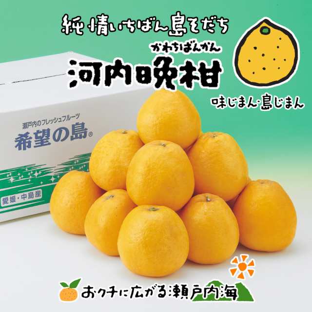 訳あり 希望の島 河内晩柑 10kg サイズ込 愛媛 中島産 夏文旦 美生柑 みしょうかん 和製グレープフルーツ 宇和ゴールド 愛南ゴールド の通販はau Pay マーケット みかんの楽園 希望の島