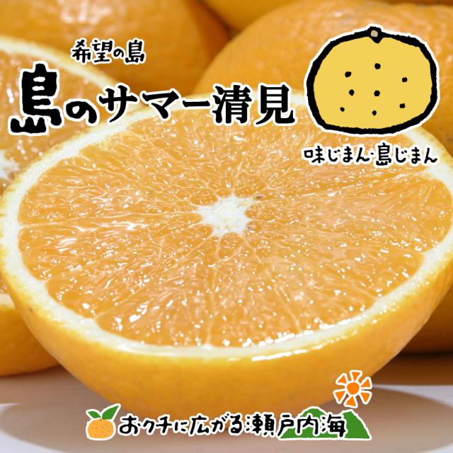 希望の島 サマー清見 5kg 贈答用 大玉 愛媛 中島産