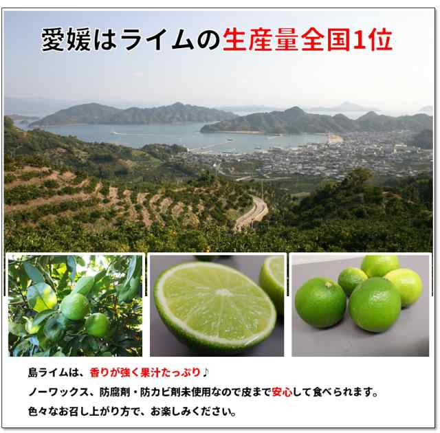 希望の島　家庭用　マーケット　送料無料の通販はau　ノーワックス　国産ライム　PAY　残留農薬ゼロ　2kg　みかんの楽園　サイズ込　愛媛　PAY　au　防腐剤未使用　タヒチライム　国産　中島産　希望の島　マーケット－通販サイト