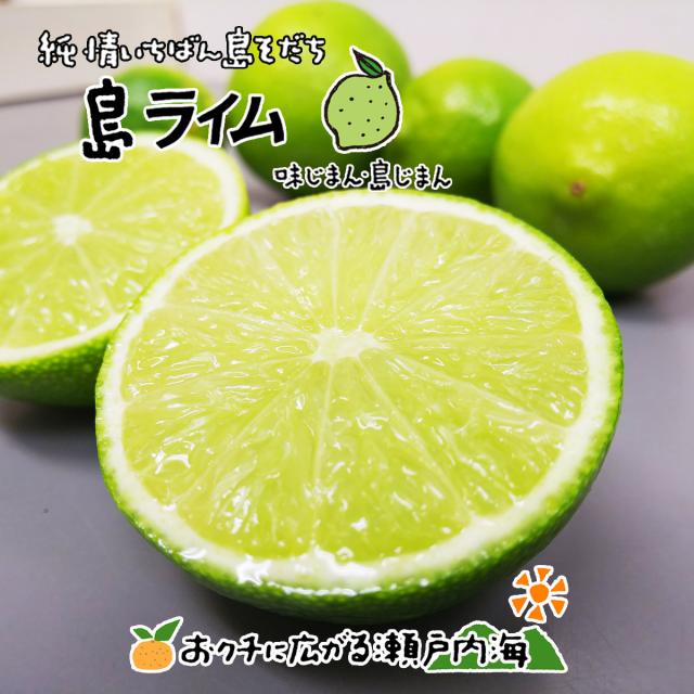 希望の島 国産ライム 家庭用 10kg サイズ込 残留農薬ゼロ ノーワックス 防腐剤未使用 タヒチライム 国産 愛媛 中島産 送料無料