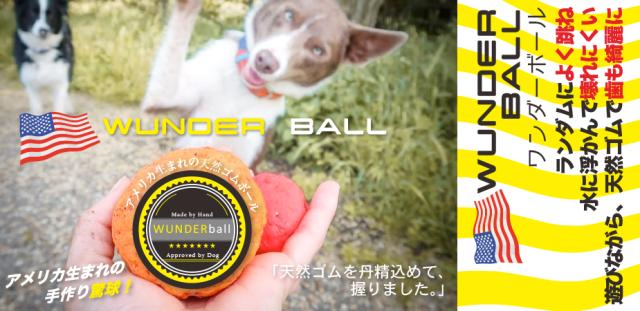 ワンダーボール ｌサイズ 約８cm の通販はau Pay マーケット ペットグッズ りりあ Au Pay マーケット店