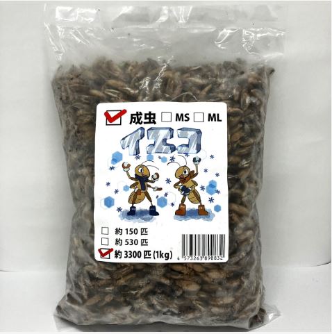 【送料無料・邑楽ファーム】【クール便発送】冷凍イエコオロギ　成虫　１ｋｇ(約3300匹入り)