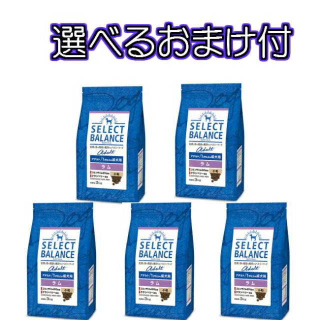 【送料無料・選べるコング製品おまけ付】セレクトバランス　アダルト・ラム　1才以上の成犬用（小粒）１ｋｇ×５個セット
