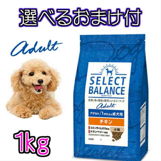 アース・ペット（株）ＥＢＣ クランベリージャーキー 愛犬用 60g 犬用品 スナック ドックフード｛NP}