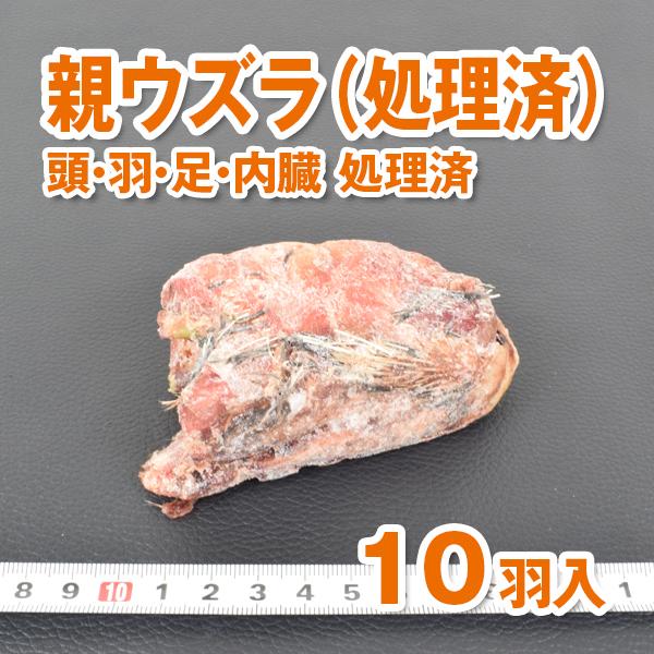 【送料無料】【富城物産・クール便発送】親ウズラ（処理済）10羽入りの通販は 5,130円