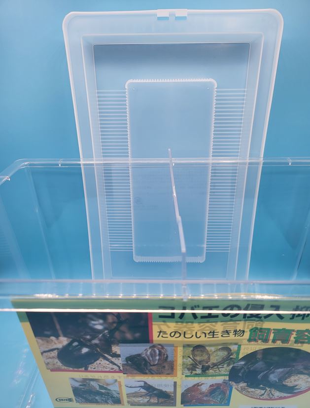 【送料無料】コバエ侵入抑制　飼育ケース　大サイズ　（仕切り付）365×215×250　６個の通販は