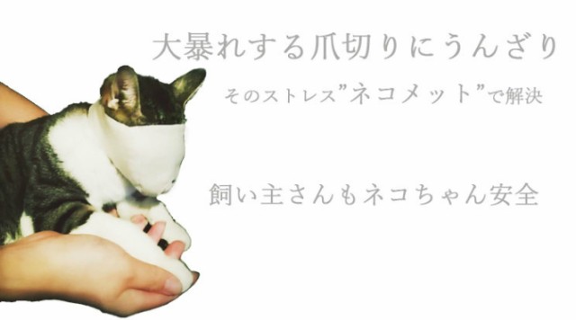 猫 マスク 猫マスク 猫 口輪 猫 用 マスク 猫 爪切り マスク ネコメット 目隠し 爪きり補助用 マスク 爪切り補助具 猫用マスク ネコ  ねこの通販はau PAY マーケット Civil Life ペット用品・生活雑貨店 au PAY マーケット－通販サイト