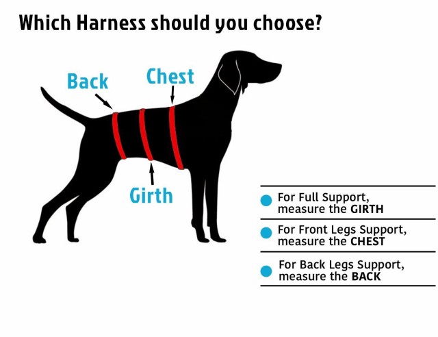 Civil Life ペット 介護 ハーネス 犬歩行補助ハーネス 小型犬 中型犬 大型犬に適用 送料無料 の通販はau Pay マーケット Civil Life Au Pay マーケット店