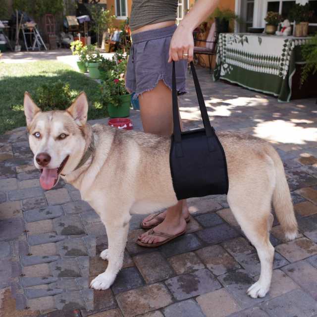 Civil Life ペット 介護 ハーネス 犬歩行補助ハーネス 小型犬 中型犬 大型犬に適用 送料無料 の通販はau Pay マーケット Civil Life Au Pay マーケット店