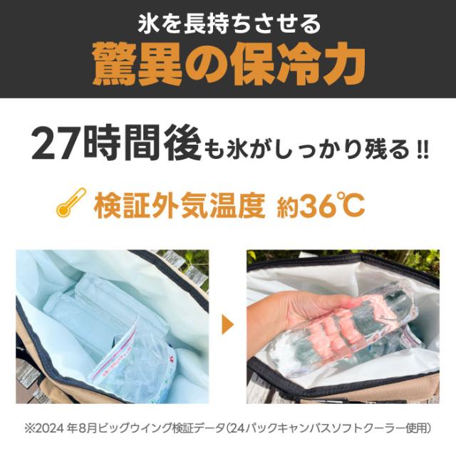 AO Coolers クーラーバッグ 9缶用 ソフトクーラー 8.5L アウトドア 保冷ストラップ付き ショルダーバッグ キャンバス 大容量 保冷バッグ ピクニック 保冷力 トートバッグ クーラーボックス ソロキャンプ ピクニック 釣り 運動会 おしゃれ 5年保証