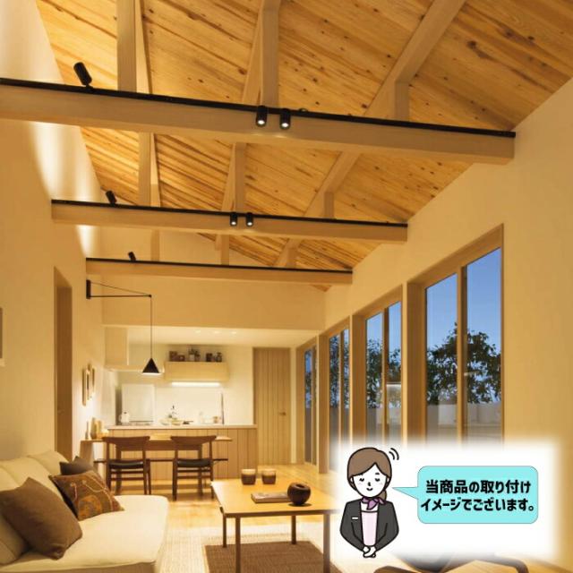 注目の的 落ち込むともし火 4個仕かける 配管軌跡用 ライティングレール ともし火 LED積み上げる 物の具一体型 昼白いこと 白熱電球色 10W 75W形好いかげんに ともし火物の具 上昇限度ともし火 間接的な行動ともし火 軌跡ともし火 夕めし リビング 喫茶店風 バス発着場ともし火 角度調節する 室内装飾ともし火 格好のいい