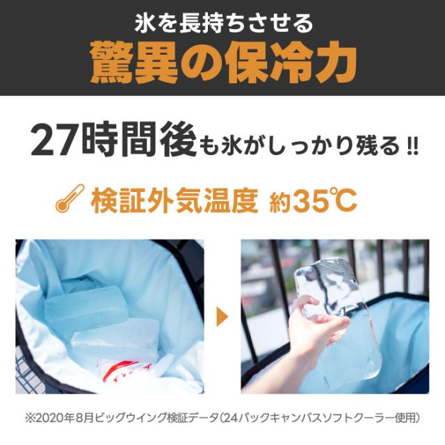 クーラーバッグ ランチクーラー AO Coolers エーオークーラーズ キャンバス ソフトクーラー 5.7L 5層構造 クーラーボックス トート 保冷バッグ バッグ 断熱 6缶 ペットボトル 収納 キャンプ アウトドア ピクニック 行楽 運動会 お花見 おしゃれ