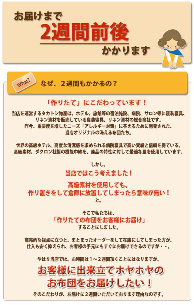 送料無料 掛け布団 ダクロン(R)7-HOLE合掛け布団 (ダブル190×210)の通販は
