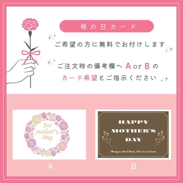 育てるタオルfeel ギフト 送料無料 feel(フィール) プチフェイスタオル5個セット-xx 母の日_1