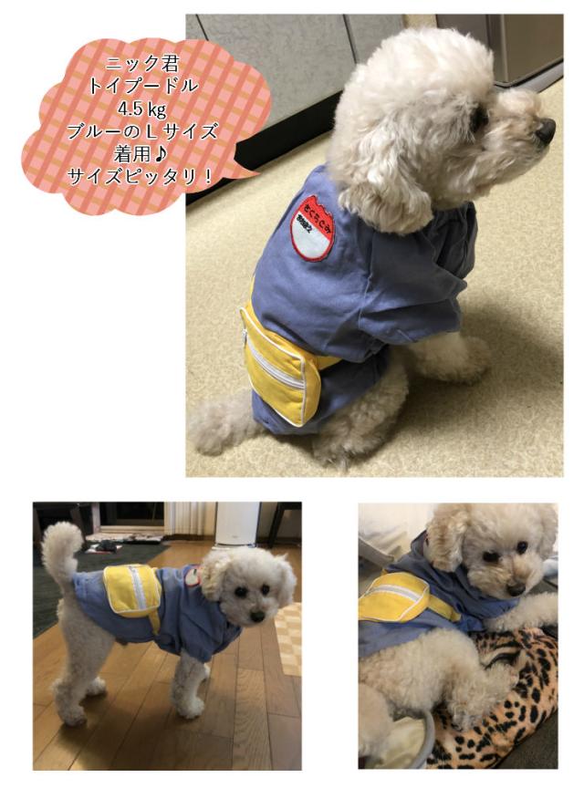 犬 幼稚園 犬服 かわいい スモック 春 夏 秋 冬 ドッグウェア ワンコ園児服 Z 222の通販はau Pay マーケット Kalucia