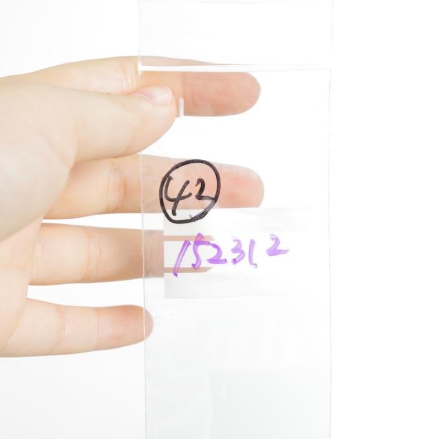 18金 ネックレス タンザナイト 0.1ct ホースシュー レディース プレゼント ゴールド アクセサリー ペンダント_3