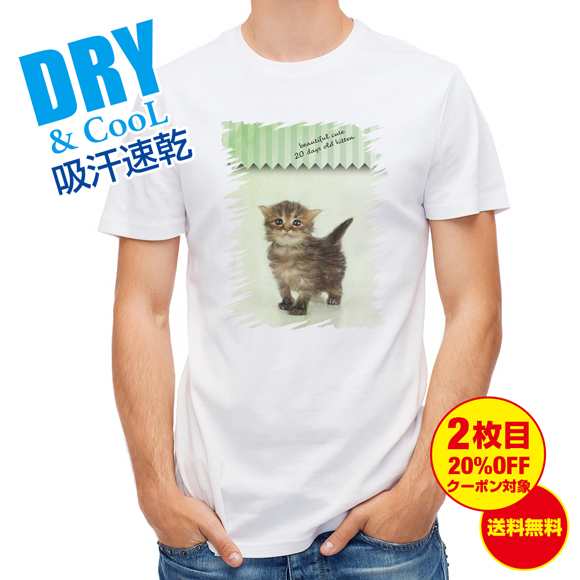 Tシャツ 生後20日の可愛い子猫 イラスト 送料無料 メンズ ロゴ 文字 春