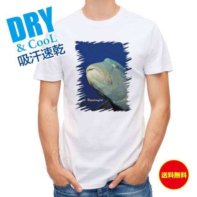 釣り Tシャツ アウトドア 水中 ナポレオンフィッシュ 釣り 魚 ルアー T シャツ メンズ 半袖 ロゴ 文字 春 夏 秋 インナー 安い 面白い 大きいサイズ 洗濯 ポリエステル 送料無料
