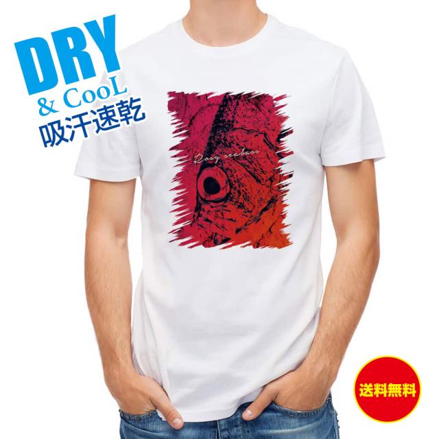 釣り Tシャツ アウトドア アカムツ 鉄錆 釣り 魚 ルアー T シャツ メンズ 半袖 ロゴ 文字 春 夏 秋 インナー 安い 面白い 大きいサイズ 洗濯 ポリエステル 送料無料