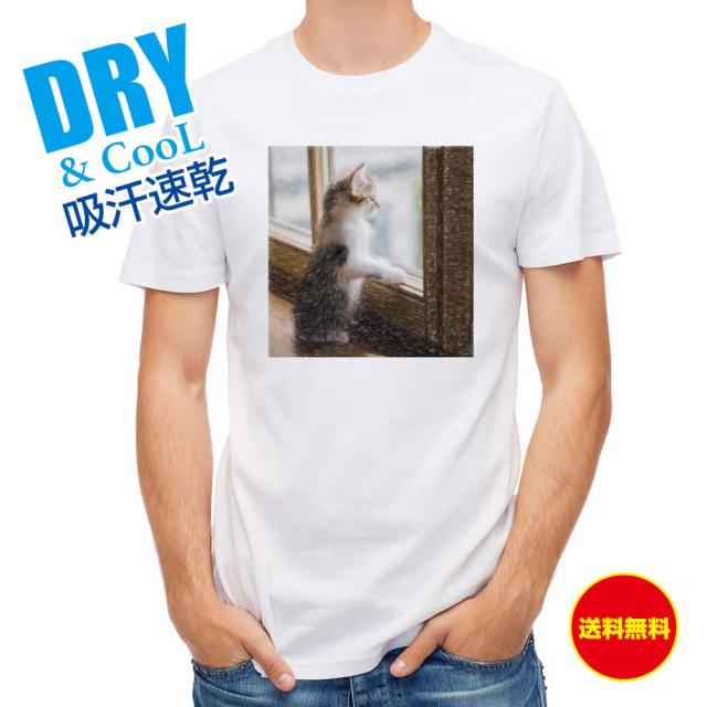 かわいい Tシャツ 窓際の猫 猫 ネコ ねこ 雑貨 かわいい T シャツ メンズ 半袖 ロゴ 文字 春 夏 秋 インナー 安い 面白い 大きいサイズ の通販はau Pay マーケット アングラーズケース