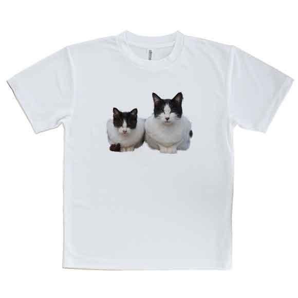 かわいい Tシャツ シロクロ二匹 ネコ 猫 ねこ 雑貨 かわいい T シャツ メンズ 半袖 ロゴ 文字 春 夏 秋 インナー 安い 面白い 大きいサイの通販はau Pay マーケット アングラーズケース