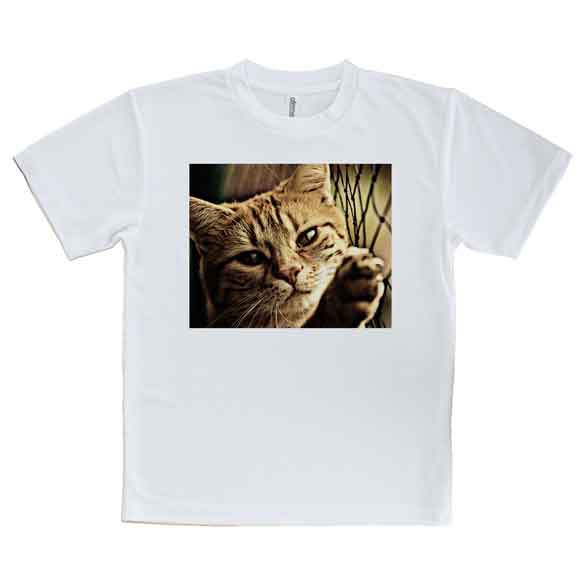 かわいい Tシャツ ビンテージな猫 ネコ 猫 ねこ 雑貨 かわいい T シャツ メンズ 半袖 ロゴ 文字 春 夏 秋 インナー 安い 面白い 大きいサの通販はau Pay マーケット アングラーズケース