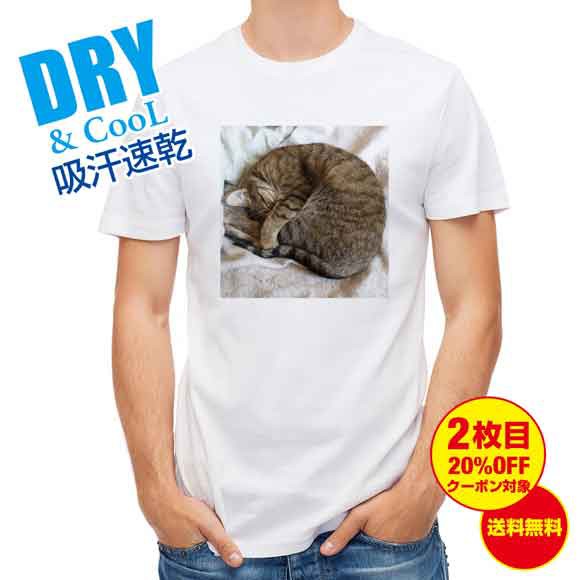 かわいい Tシャツ ニャンモナイト 猫 ネコ ねこ 雑貨 かわいい T シャツ メンズ 半袖 ロゴ 文字 春 夏 秋 インナー 安い 面白い 大きいサの通販はau Pay マーケット アングラーズケース