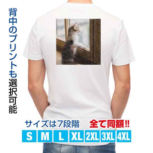 かわいい Tシャツ 窓際の猫 猫 ネコ ねこ 雑貨 かわいい T シャツ メンズ 半袖 ロゴ 文字 春 夏 秋 インナー 安い 面白い 大きいサイズ の通販はau Pay マーケット アングラーズケース