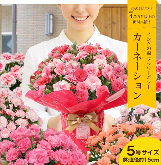 母の日 カーネーション プレゼント ギフト 15種類から選べるカーネーション5号サイズ 鉢植え こだわりラッピング 全国一律 送料無料の通販はau Pay マーケット イングの森