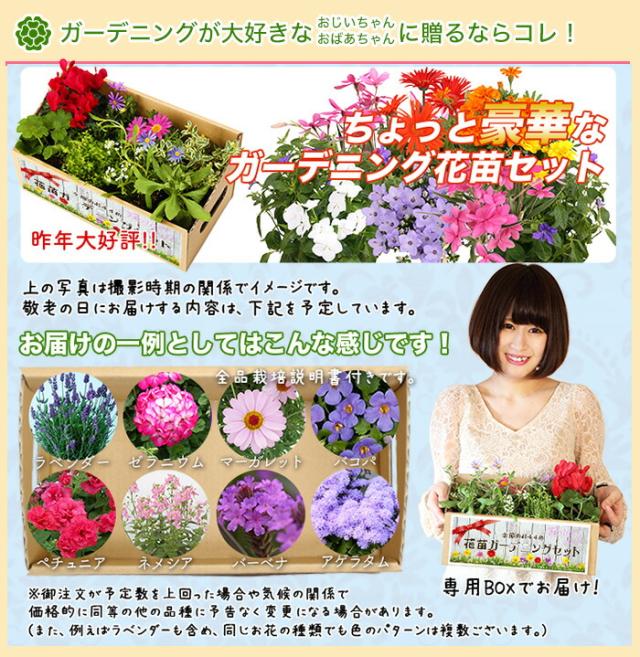 敬老の日 花 ギフト プレゼント 季節の8種詰め合わせ ちょっと豪華なガーデニング花苗セット 送料無料 同梱不可 北海道 九州は別途450の通販はau Pay マーケット イングの森