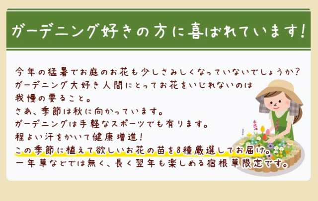 敬老の日 ギフト ガーデニング派のおじいちゃん おばあちゃんに8種の花苗セット 送料無料 絵手紙セット 天然石ストラップ付 の通販はau Pay マーケット イングの森