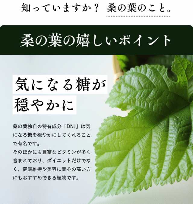 桑の葉茶 パウダー 100ｇ 青汁 国産 くわの葉茶 桑茶 粉末 効能 糖質 送料無料