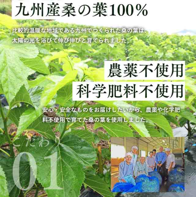 桑の葉茶 粉末 100g 送料無料 1000円 桑の葉 国産 パウダー 青汁 桑茶 くわのは くわ茶 健康茶 の通販はau PAY マーケット -  静岡茶園 au PAY マーケット店