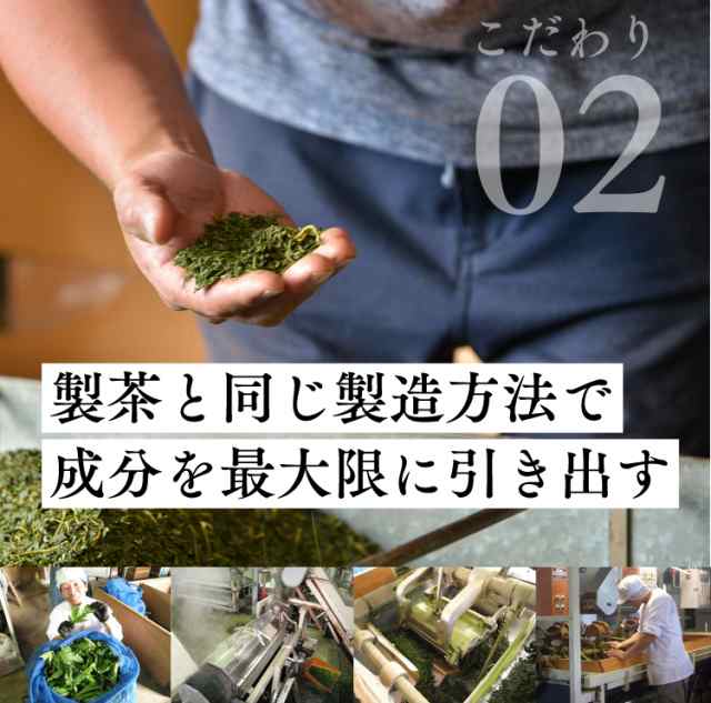 青汁 桑葉 桑の葉茶 粉末 100g 送料無料 桑の葉 国産 パウダー くわの