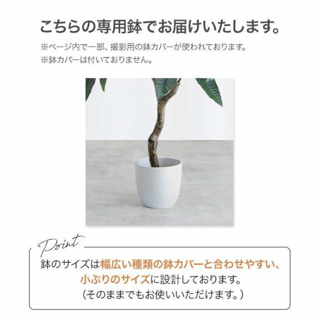 g162007]【高さ120cm】Nature 光触媒人工観葉植物 パキラ 観葉